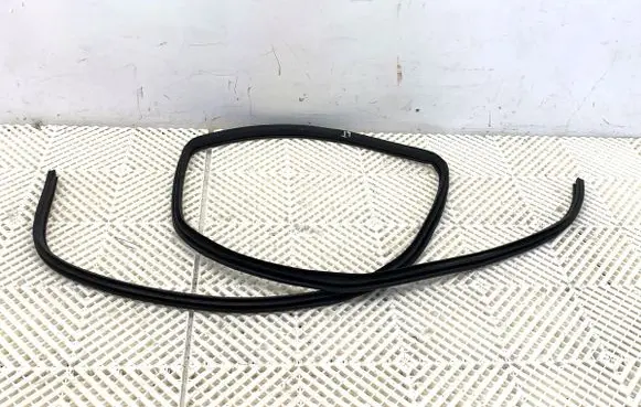 Nissan Qashqai Rubber seal front door (on door)