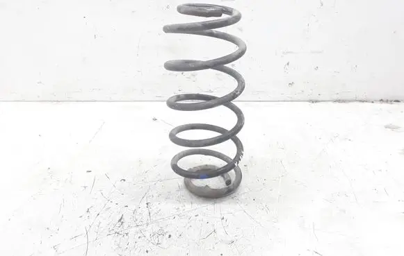Rear coil spring
