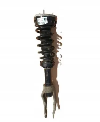 Jaguar XE Rear shock absorber with coil spring 18B036PD