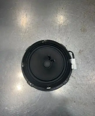 Hyundai Santa Fe Front door speaker 963002B100