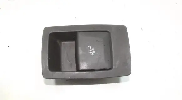BMW iX3 G08 Rear seat headrest 7436054