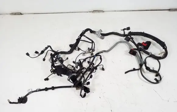 Engine installation wiring loom