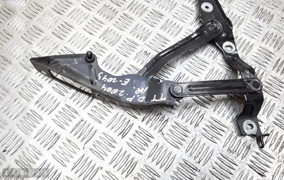 Audi TT Mk1 Engine bonnet/hood hinges 8n0823302