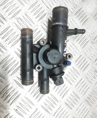Thermostat/thermostat housing