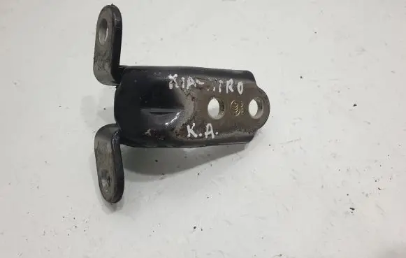 KIA Niro Rear door lower hinge