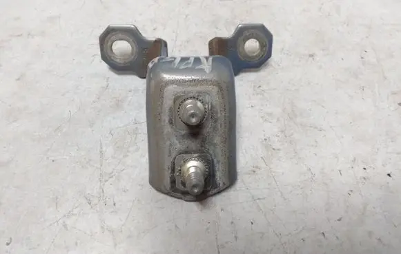 Renault Espace - Grand espace IV Rear door lower hinge