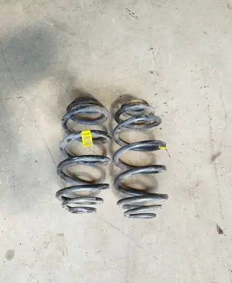 Rear coil spring