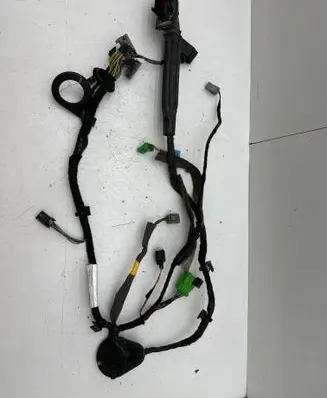 Front door wiring loom