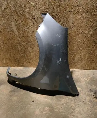 Renault Modus Fender