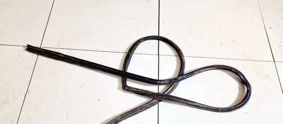 Mitsubishi Grandis Rubber seal front coupe door 