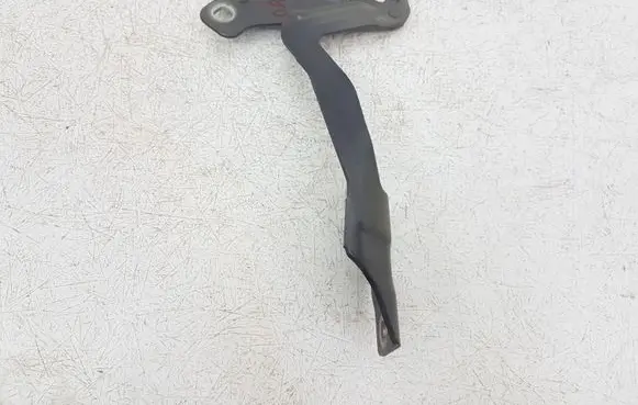 Ford Fusion II Engine bonnet/hood hinges DS73F16800 DS73F16800AB FZPMA