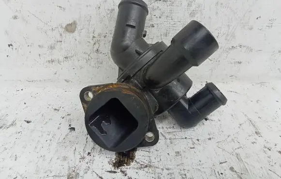 Thermostat/thermostat housing