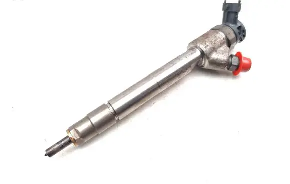 Citroen Berlingo Fuel injector 9828959880 0445110955