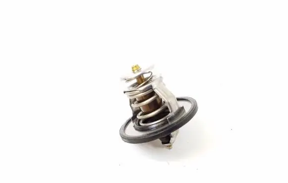 Hyundai Santa Fe Thermostat 2550035540