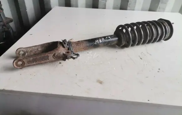 Mercedes-Benz CLS C219 Front shock absorber with coil spring