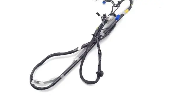 Tesla Model 3 Camera wiring loom 106878700E