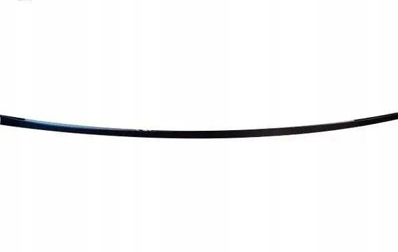 Fiat Punto (199) Rubber seal front coupe door 46546179