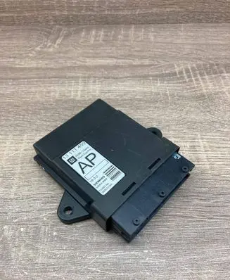 Opel Signum Door control unit/module 13111459 5WK46004