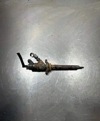 Citroen Berlingo Fuel injector 0445110239