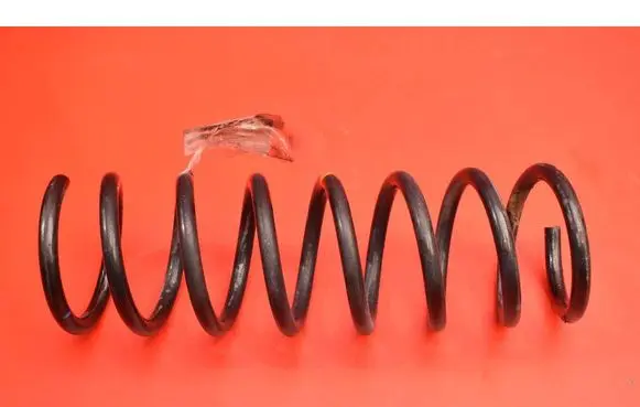 Rear coil spring