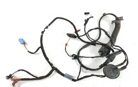 Audi A4 S4 B9 Front door wiring loom 8W0971030AK