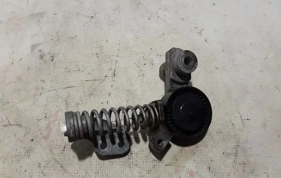 Volvo S60 Timing belt/chain tensioner 31339830
