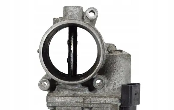 Throttle body valve