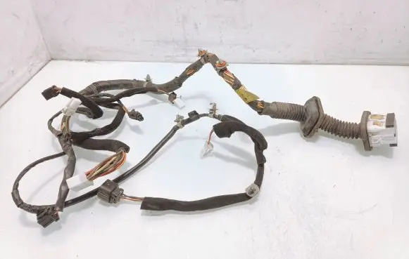 Front door wiring loom