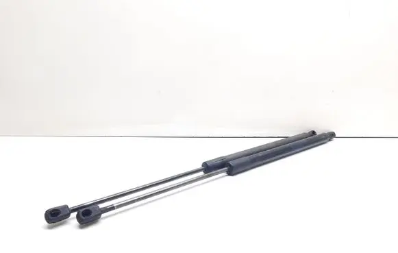 BMW X1 E84 Tailgate/trunk strut/damper 2990136 51242990136
