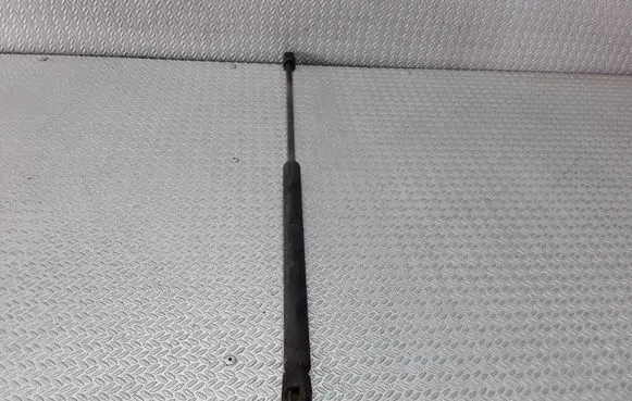 Tailgate/trunk strut/damper