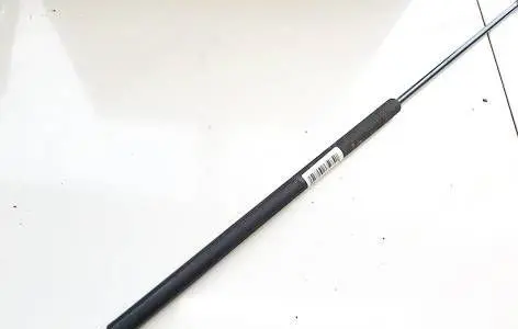 Front bonnet/hood damper/strut
