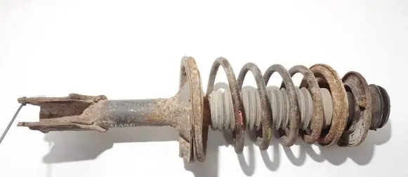 Fiat Doblo Front shock absorber/damper