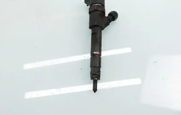 Renault Espace - Grand espace IV Fuel injector 0445110110B 8200100272