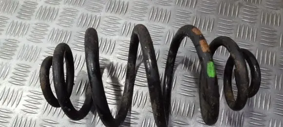 Rear coil spring