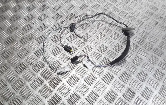 Other wiring loom