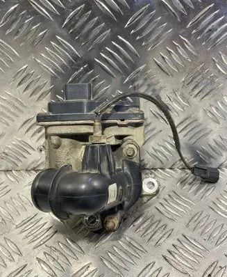 EGR valve