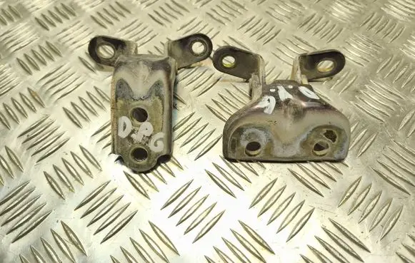 Hyundai Sonata Rear door hinge set 