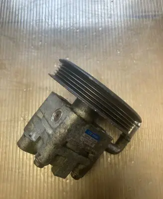 Suzuki Grand Vitara II Power steering pump 4910065J00 6Y174011