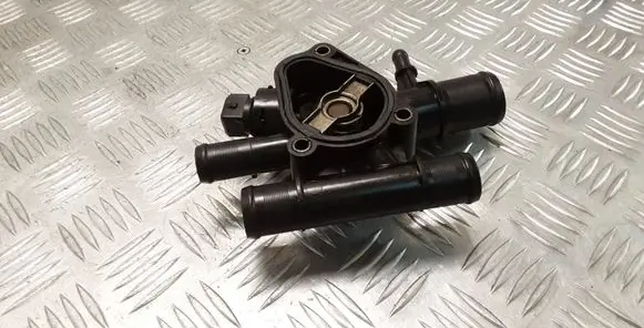 Thermostat/thermostat housing