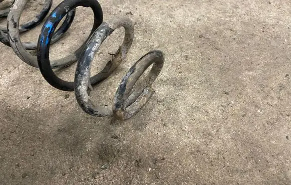 Seat Toledo II (1M) Rear coil spring