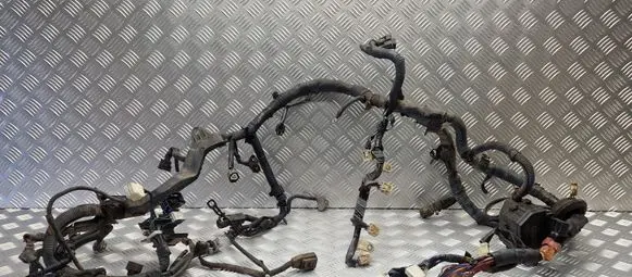 Toyota RAV 4 (XA20) Engine installation wiring loom 8212142741
