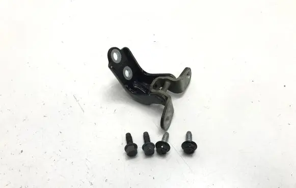 KIA Niro Rear door lower hinge