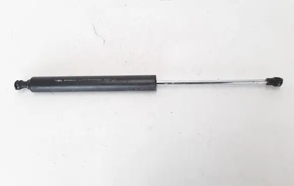 Tailgate strut
