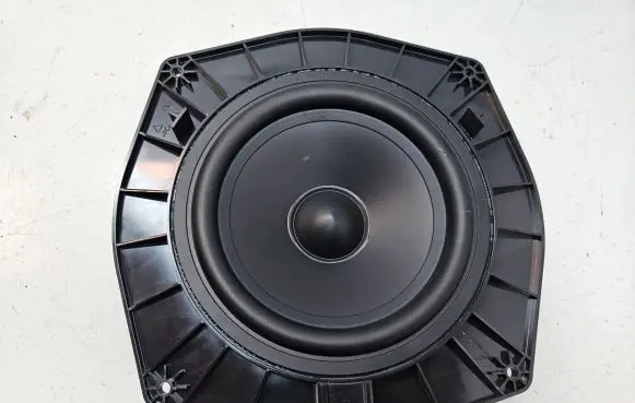 Land Rover Range Rover Sport L494 Rear door speaker DPLA18808BA