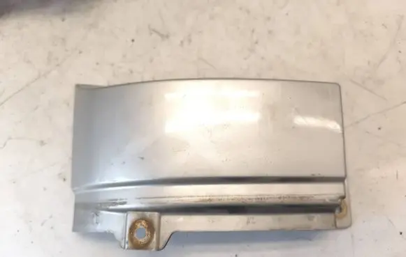 Rear/tail light trim molding