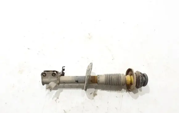 Dacia Dokker Front shock absorber/damper 543021775R