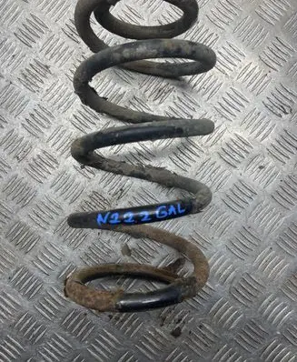 Rear coil spring
