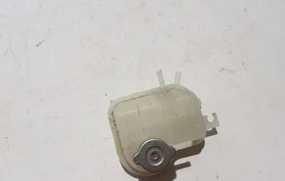 Dacia Spring Coolant expansion tank/reservoir 217104297R