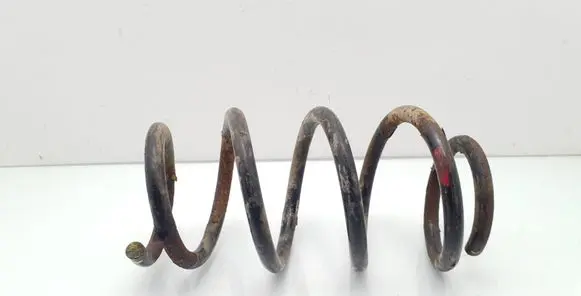 Renault Trafic II (X83) Front coil spring