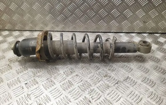 Toyota Prius (NHW20) Rear shock absorber with coil spring 